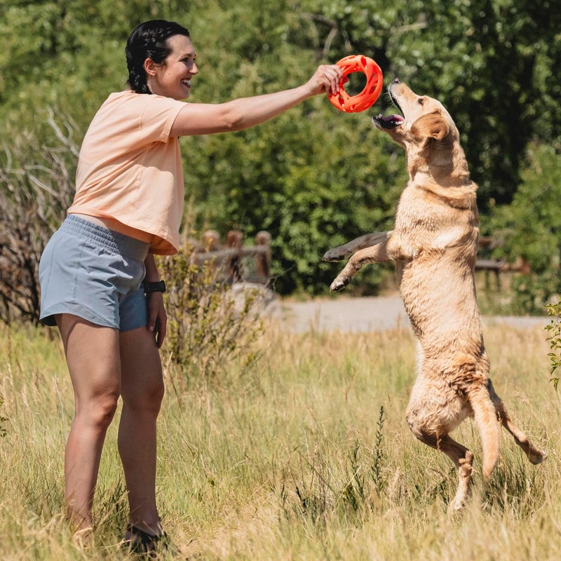 Chuckit! Air Fetch Wheel Dog Toy, Orange - Image 3